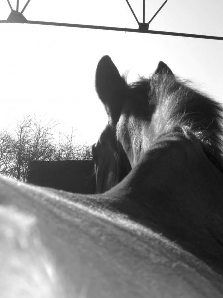 mon ange