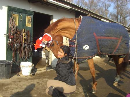 Le prince en pere noel